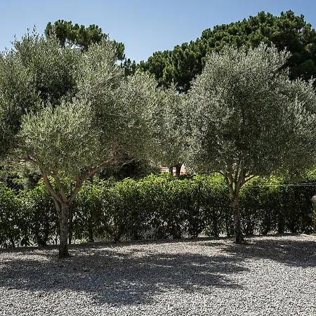 Villa Sunset,sleeps 9,heatable Pool,walk To Marina